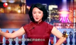 金星爆料沈南视频,揭秘娱乐圈背后的故事