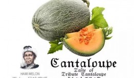 网红吃瓜营销号是什么意思,揭秘网络热点背后的秘密