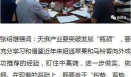 彝良媒体爆料案件最新,最新案件进展引发社会关注